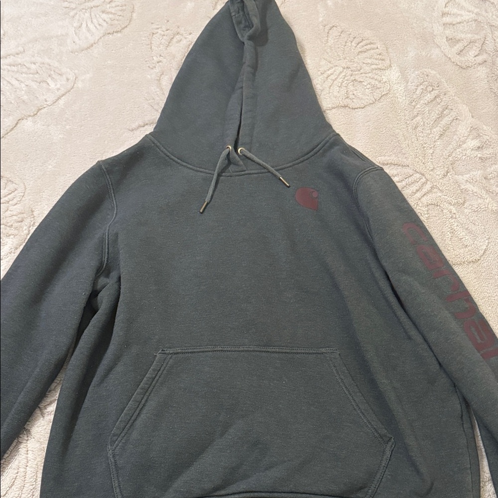 Carhartt Men's Hoodie